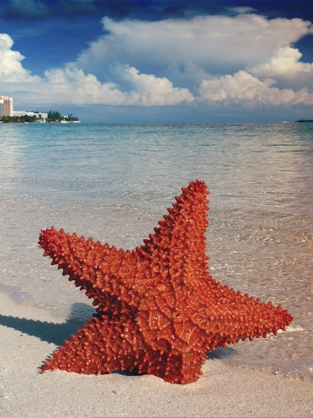 Bimini Islands