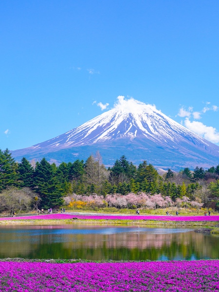 Fuji