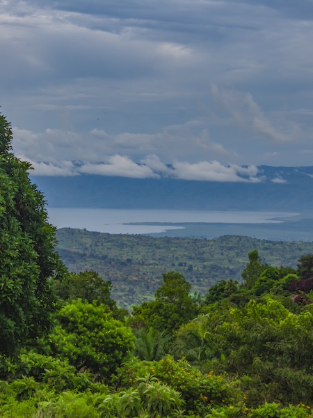Kinshasa